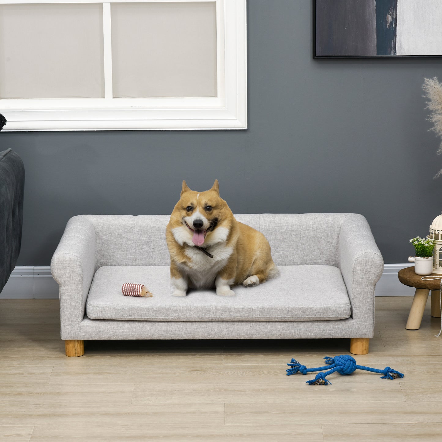 Sofa pour animaux moderne avec coussin amovible