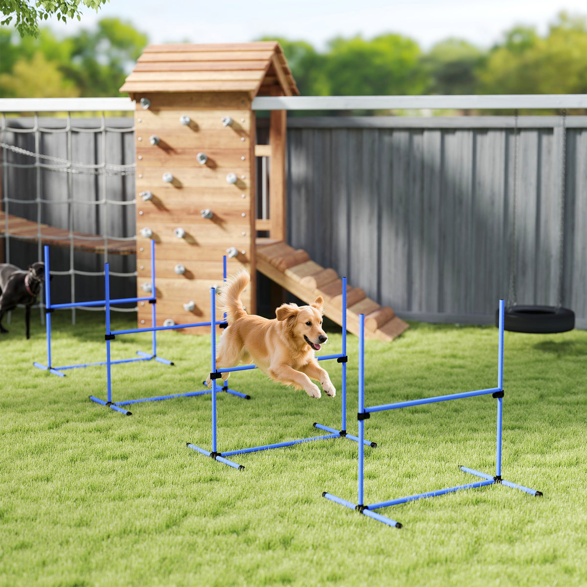 Ensemble de 4 haies d'agilité réglables pour chien