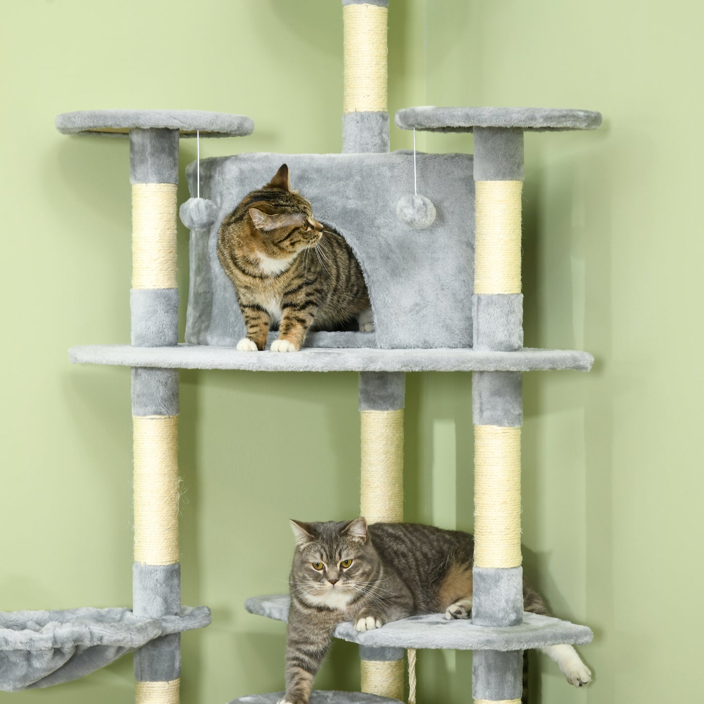 Arbre à chat multiniveau 79 pouces avec griffoirs