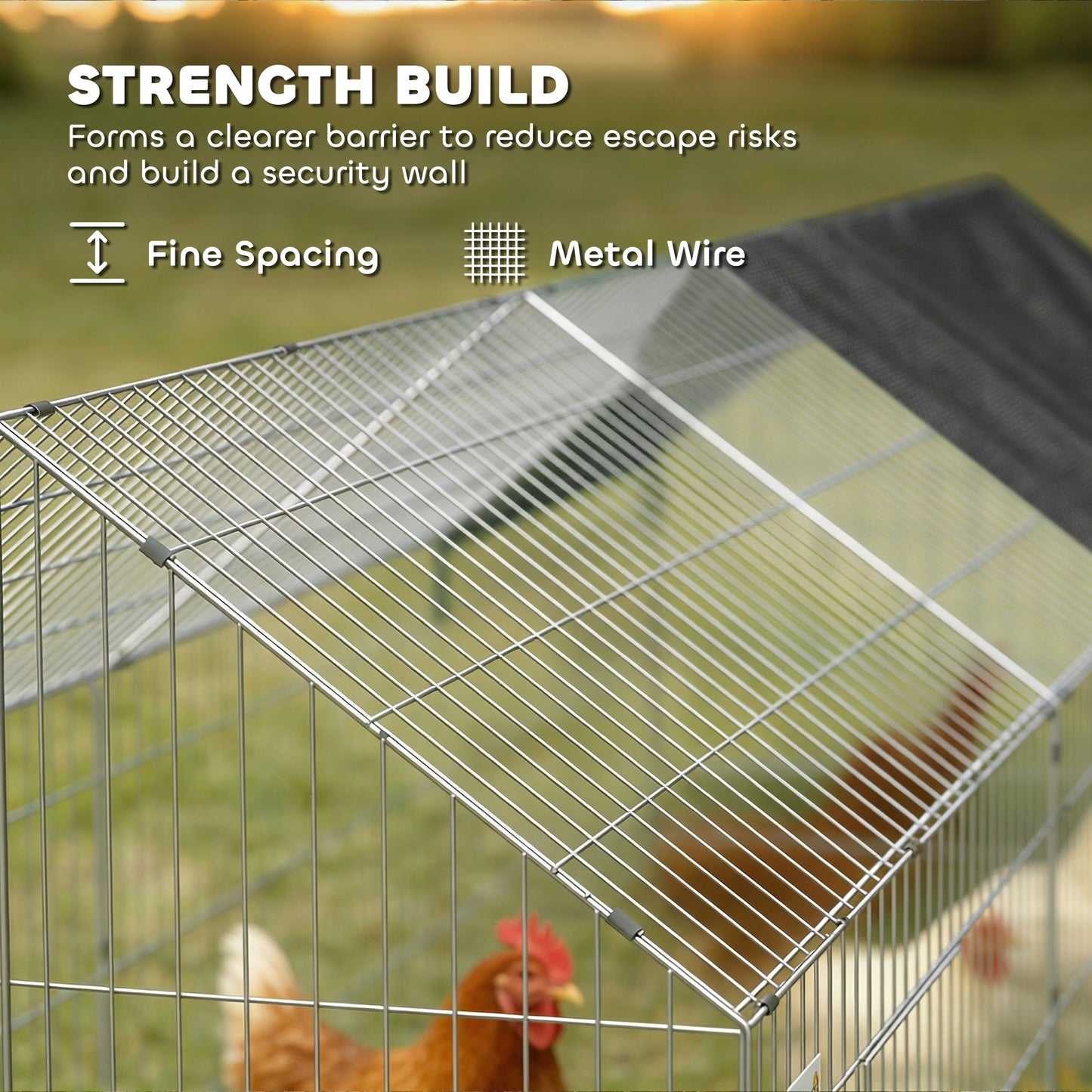 Enclos métallique pour poules avec couverture UV