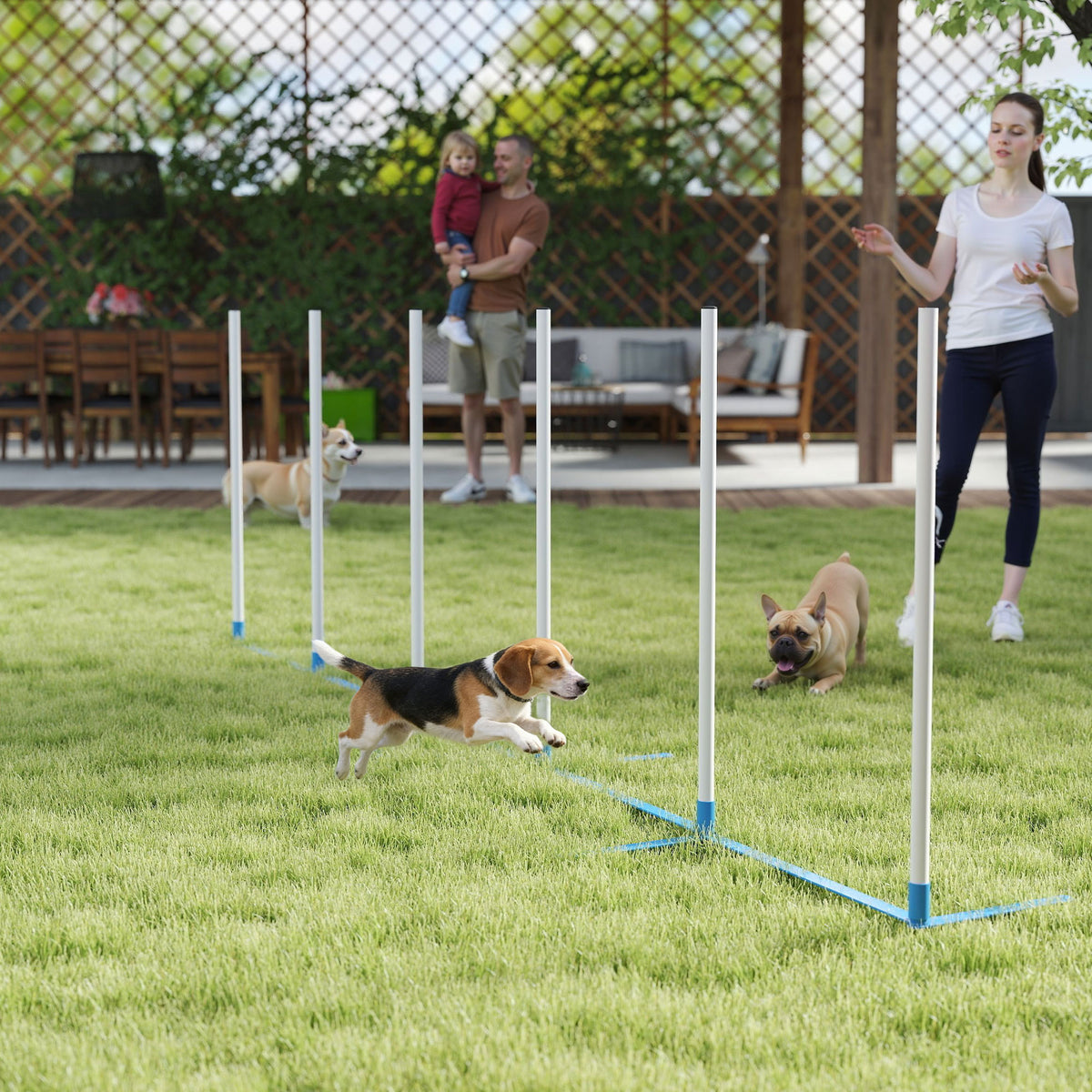 Ensemble obstacles d'agilité pour chiens avec piquets