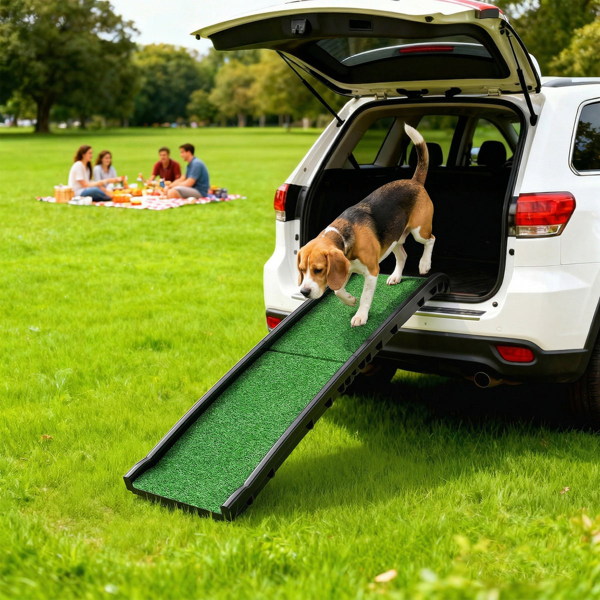 Rampe pliable pour chien 150 cm surface gazonnée