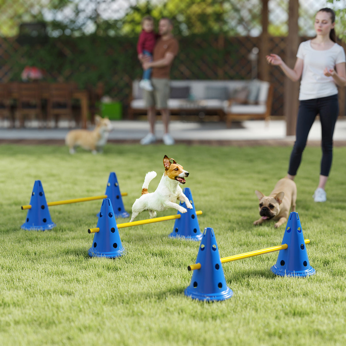Ensemble d'agilité pour chien avec cônes et perches ajustables