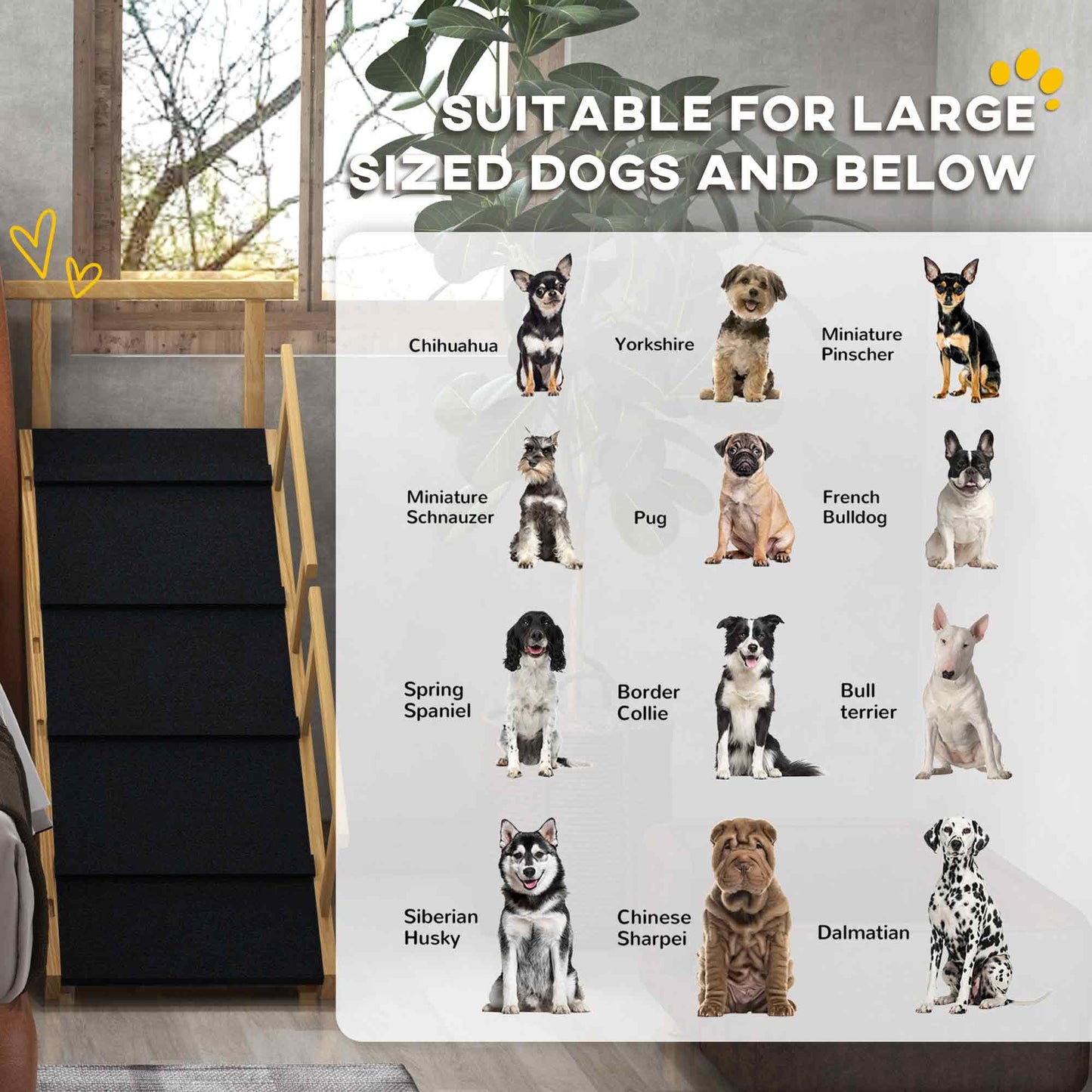 Escalier pour chien réglable en bois de pin