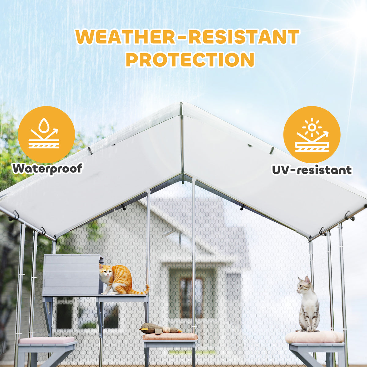 Enclos extérieur pour chat en métal imperméable