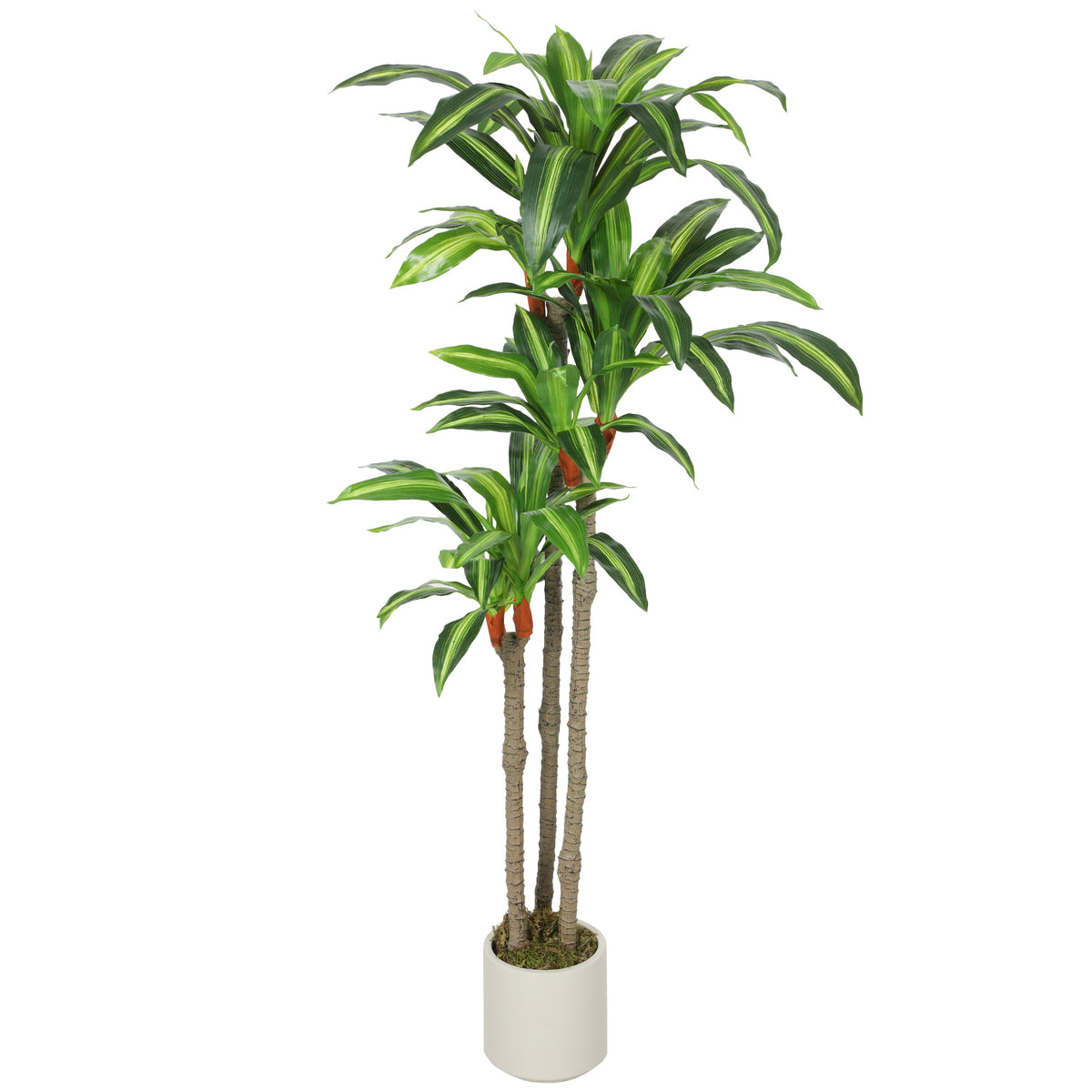 Plante artificielle dracaena 150 cm