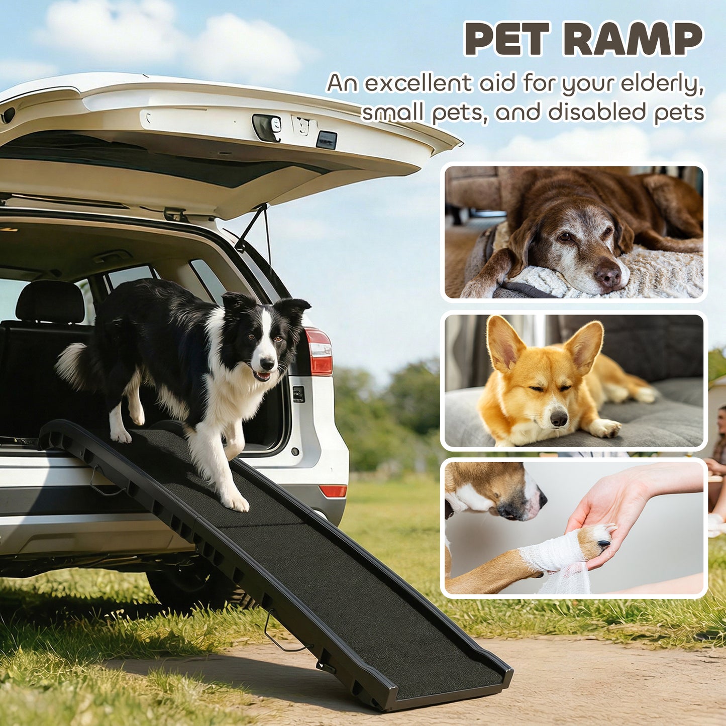Rampe pliable pour chien 150 cm surface gazonnée