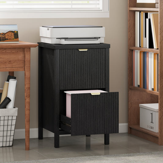 Classeur vertical moderne à deux tiroirs pour bureau