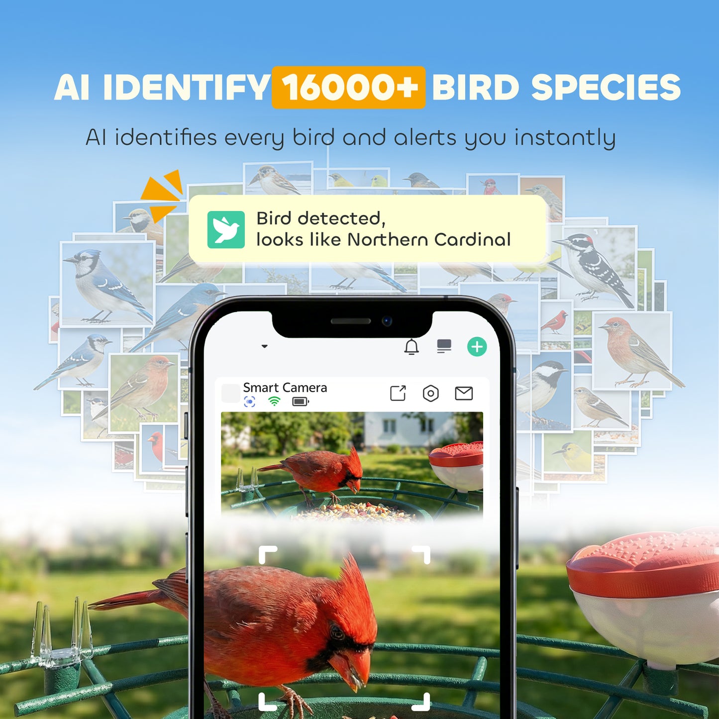 Mangeoire connectée pour oiseaux avec caméra IA solaire