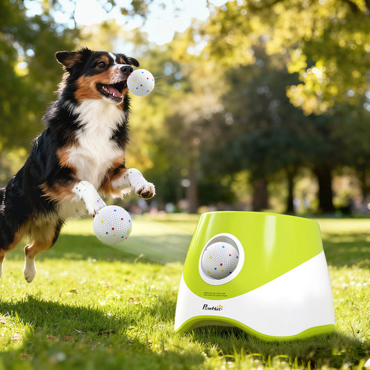 Lanceur de balles automatique pour chien avec 5 balles