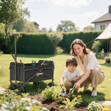 Chariot de jardin pliable 62 L — noir