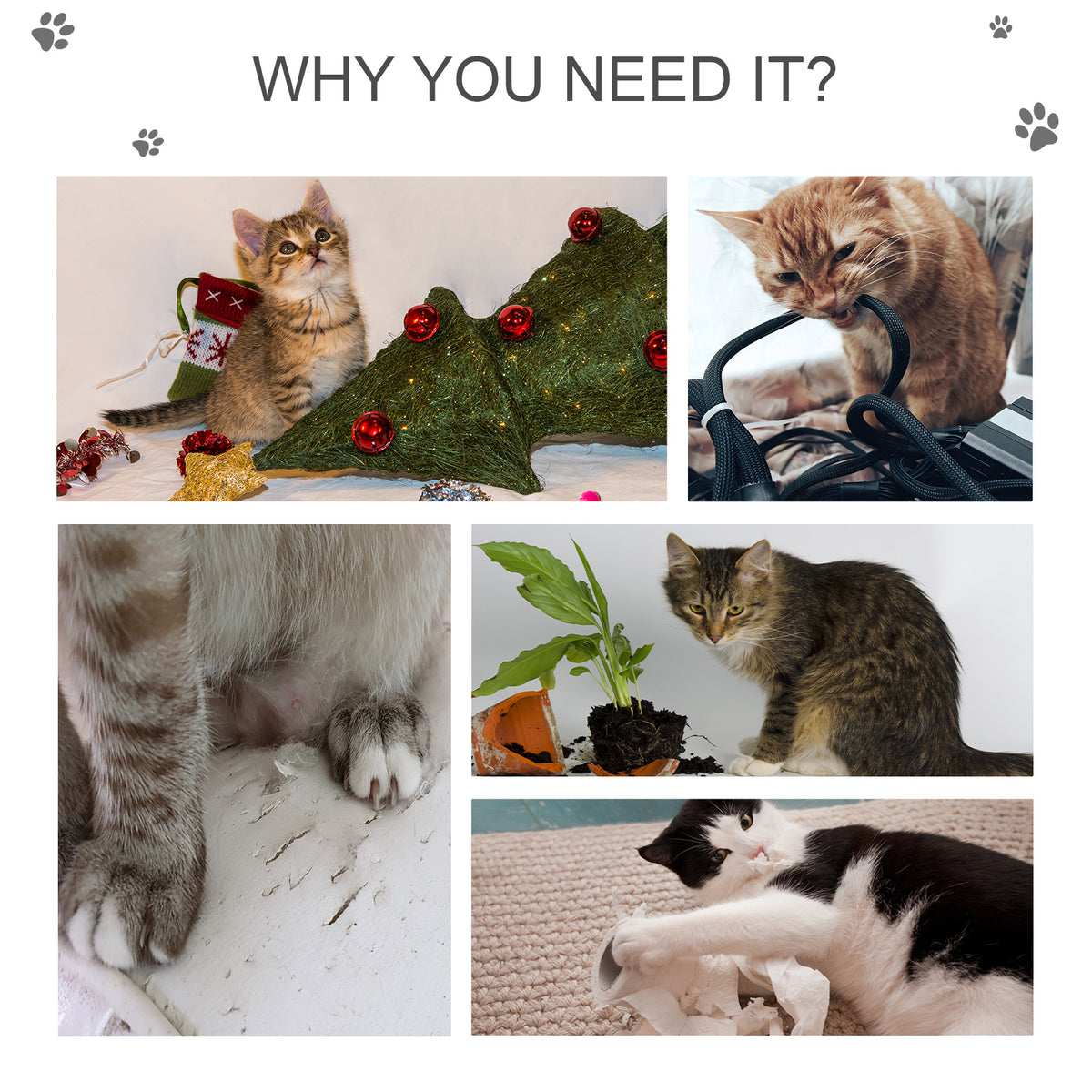 Arbre à chat multiétage avec condo et griffoirs en sisal