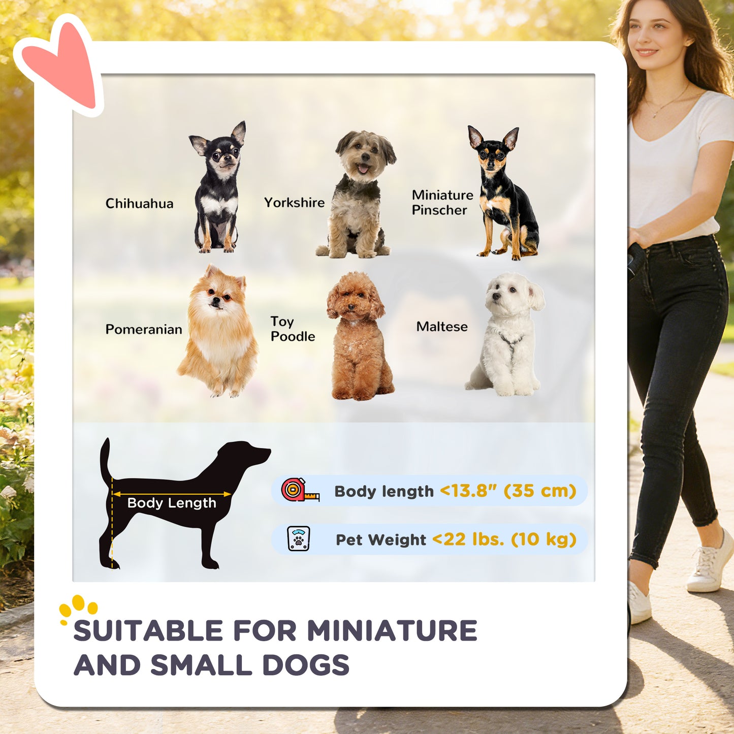 Poussette pour animaux pliable avec roues et freins