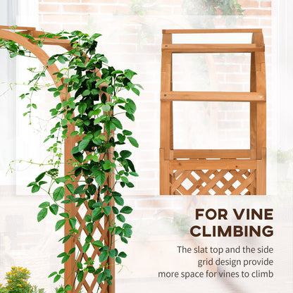 Jardinière surélevée avec treillage en arche