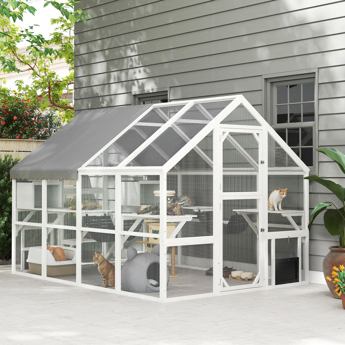 Enclos pour chat extérieur bois avec auvent 56 pi²