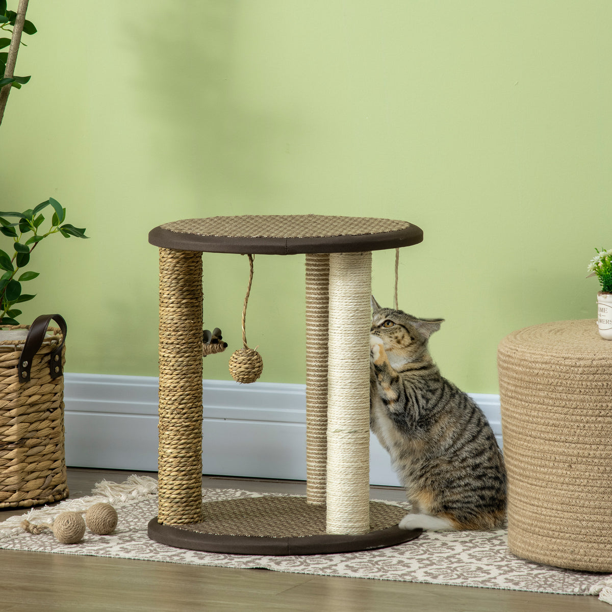 Arbre à chat compact avec jouets suspendus