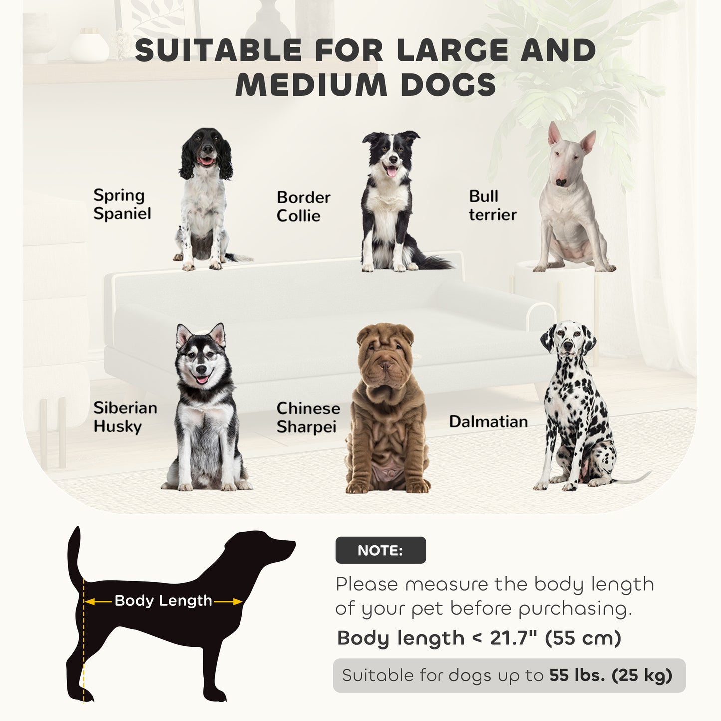 Canapé pour chien surélevé avec coussin lavable