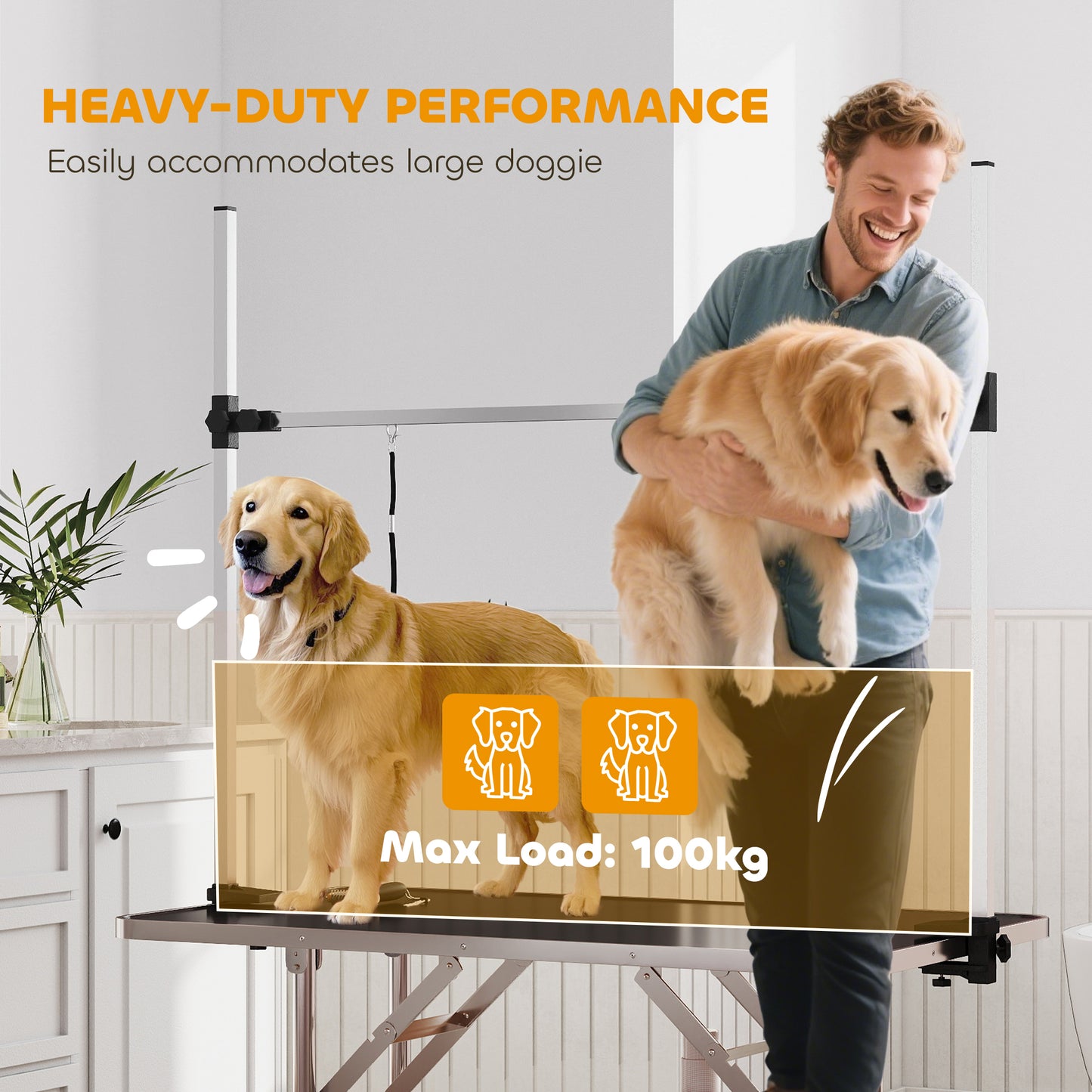 Table de toilettage ajustable pour chiens avec sangles sécurité