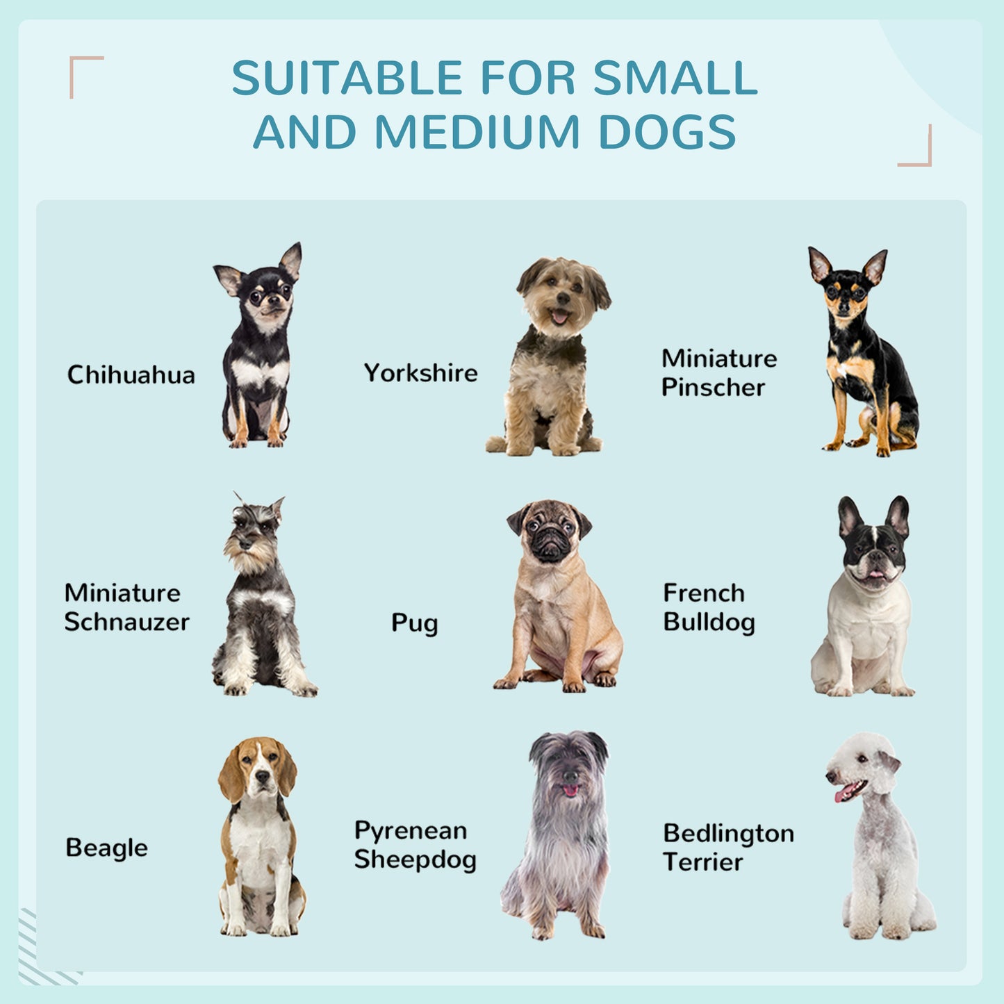 Niche surélevée avec auvent pour chiens moyens