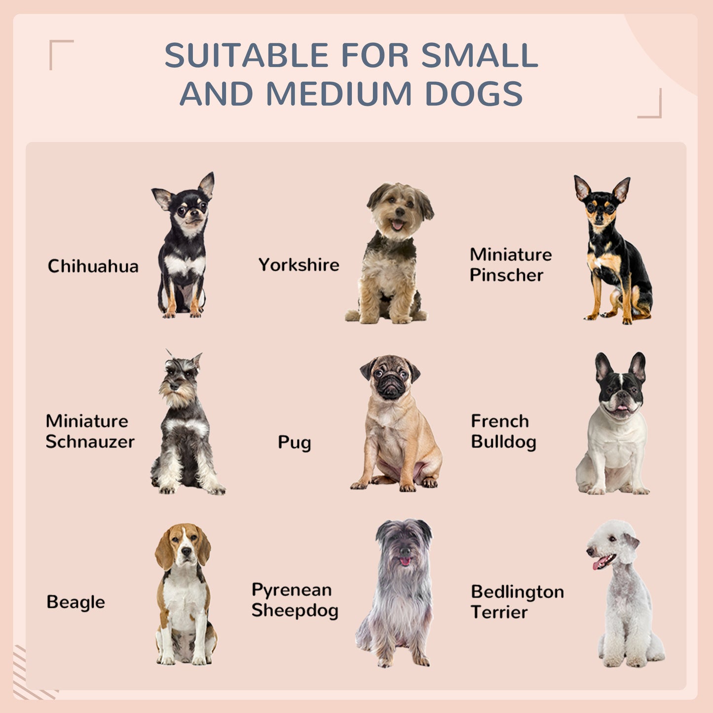 Niche surélevée avec auvent pour chiens moyens