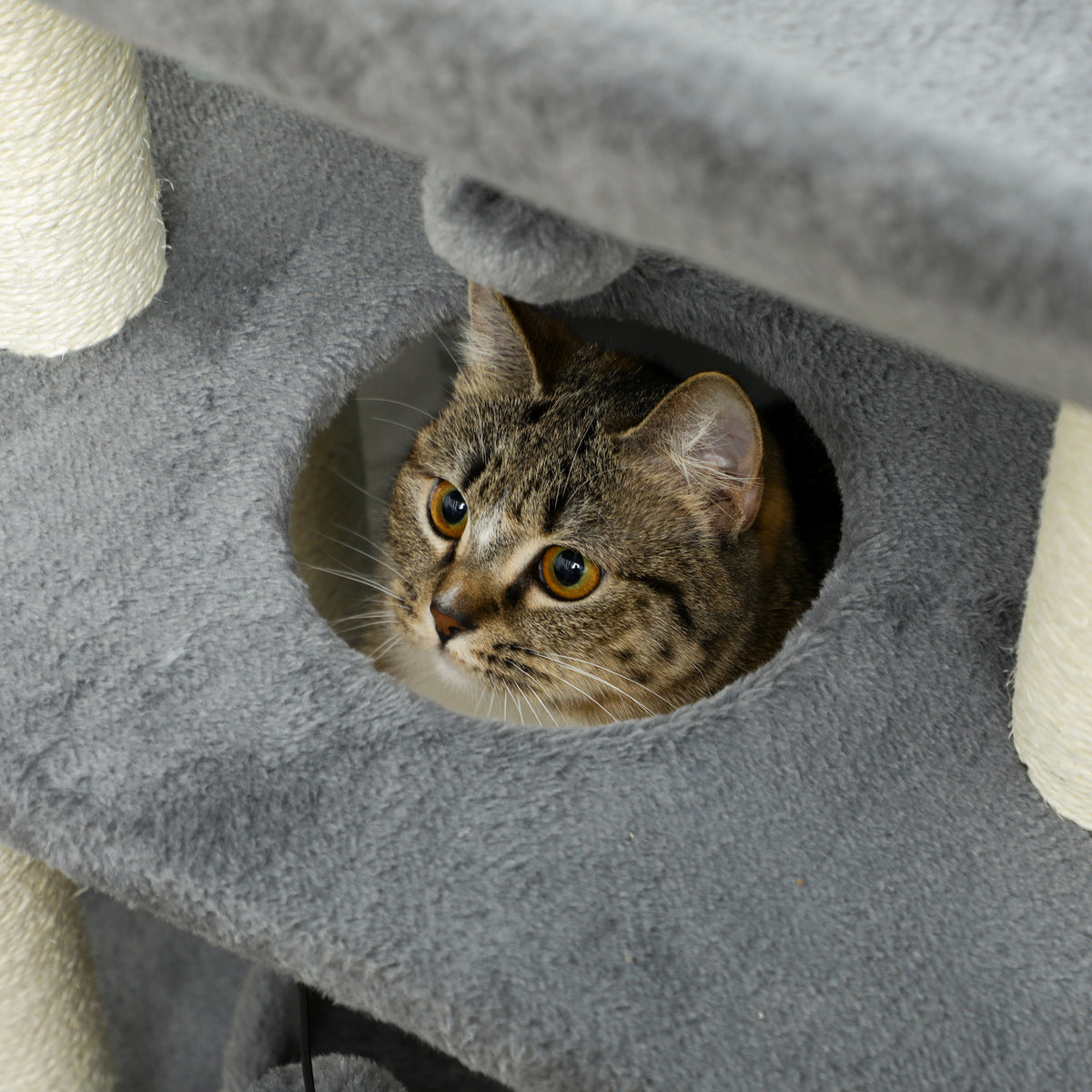 Arbre à chat compact avec perchoir et jouets