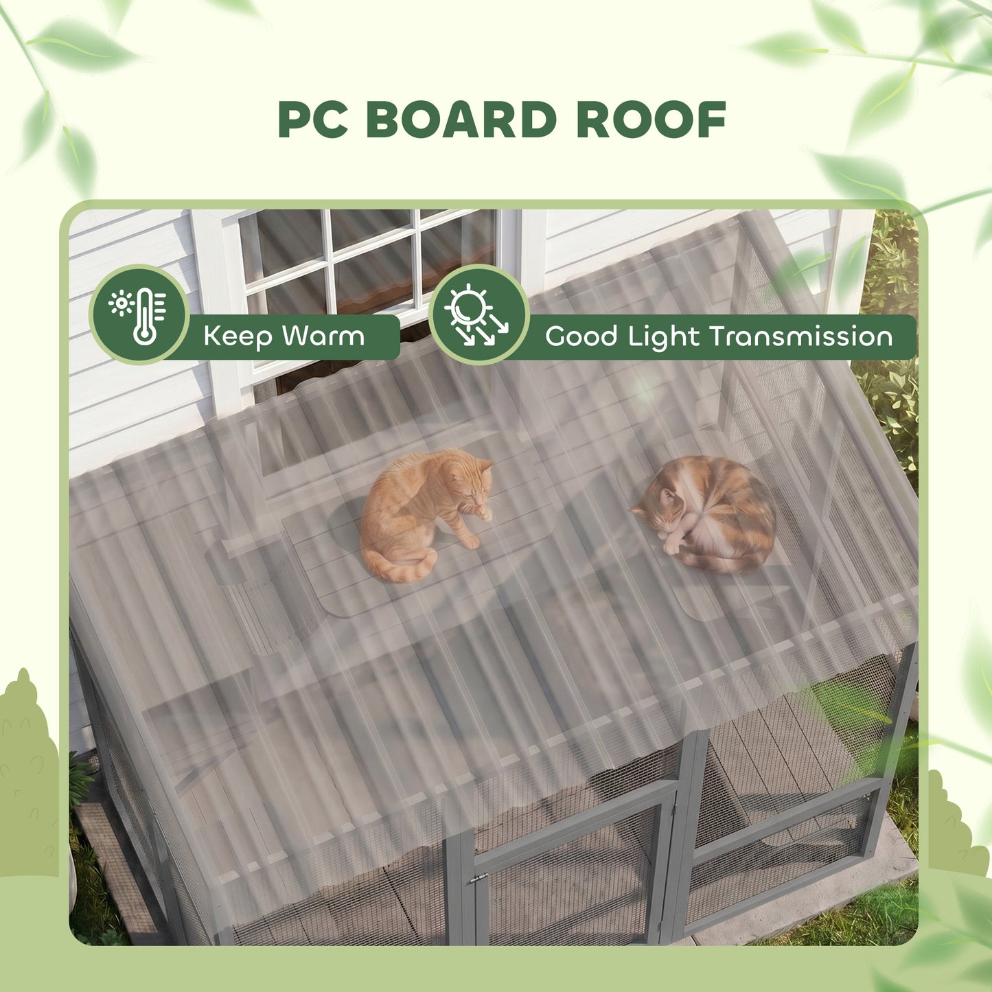 Enclos extérieur chat multi-niveaux avec toit transparent
