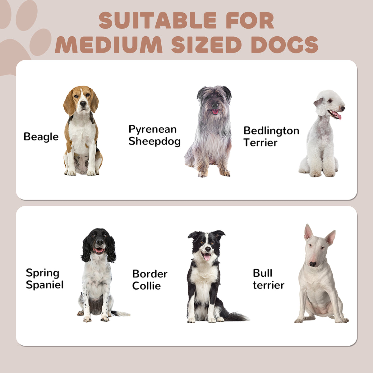 Station d'alimentation chien avec rangement ajustable