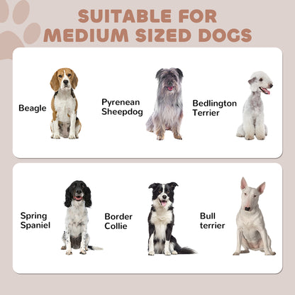 Station d'alimentation chien avec rangement ajustable