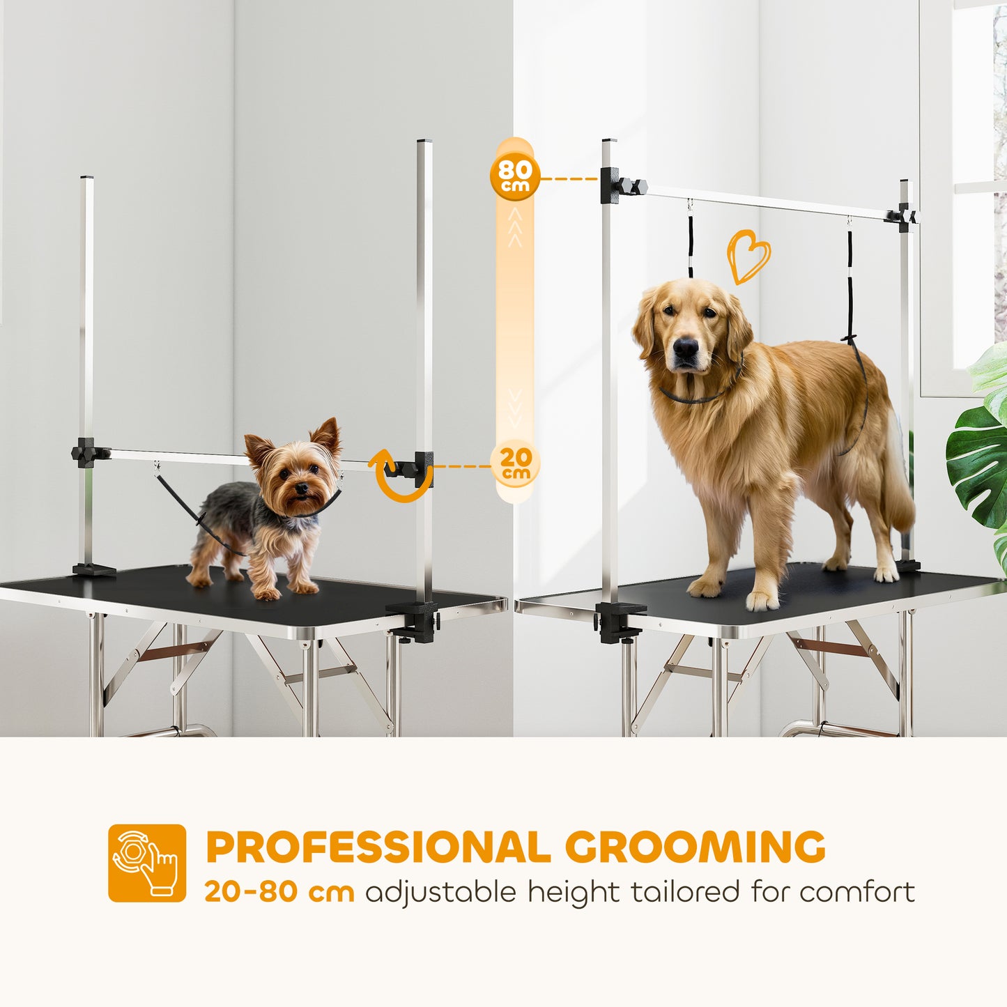 Table de toilettage ajustable pour chiens avec sangles sécurité