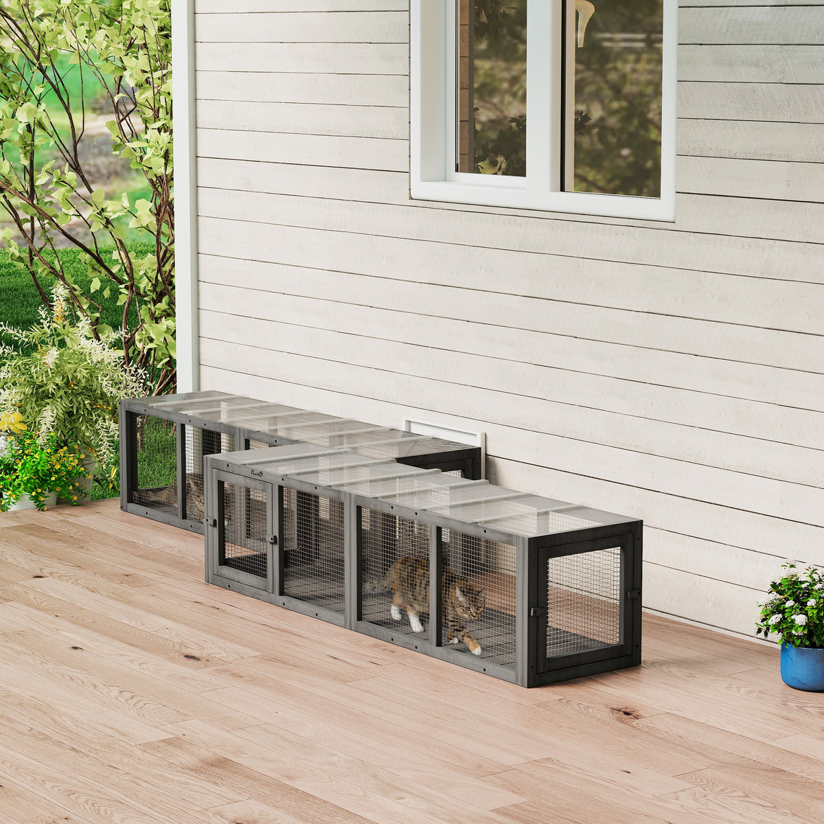 Tunnel pour chat extérieur en bois et grillage modulaire