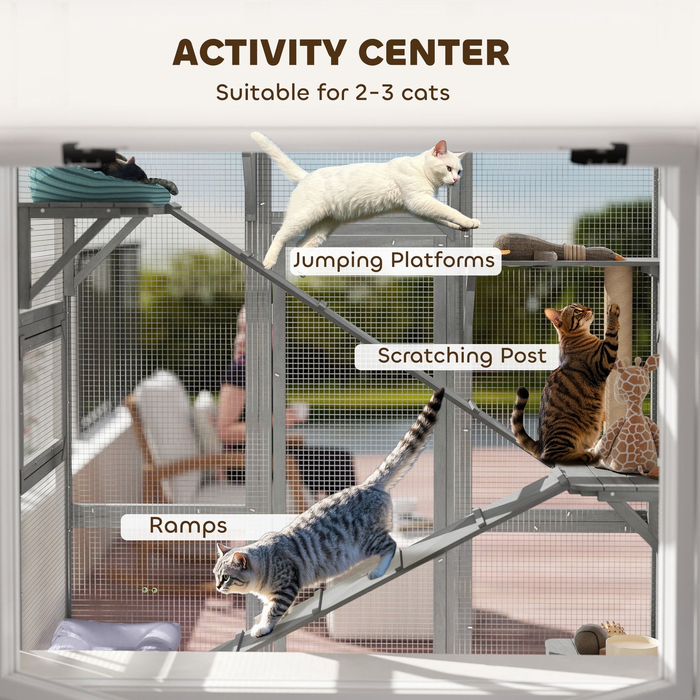 Enclos extérieur pour chat avec 6 plateformes de saut