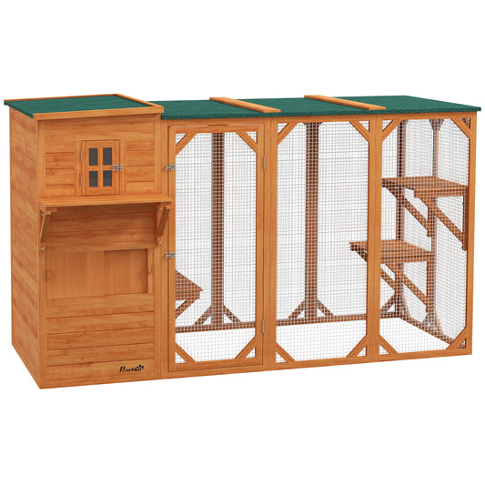 Enclos extérieur pour chat en bois avec toit asphalte