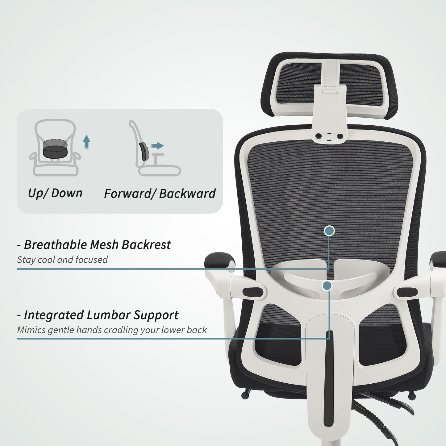 Chaise de bureau ergonomique avec support lombaire ajustable et appui-tête