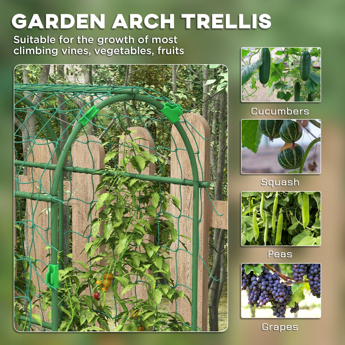Treillis de jardin en arche avec filet grimpant