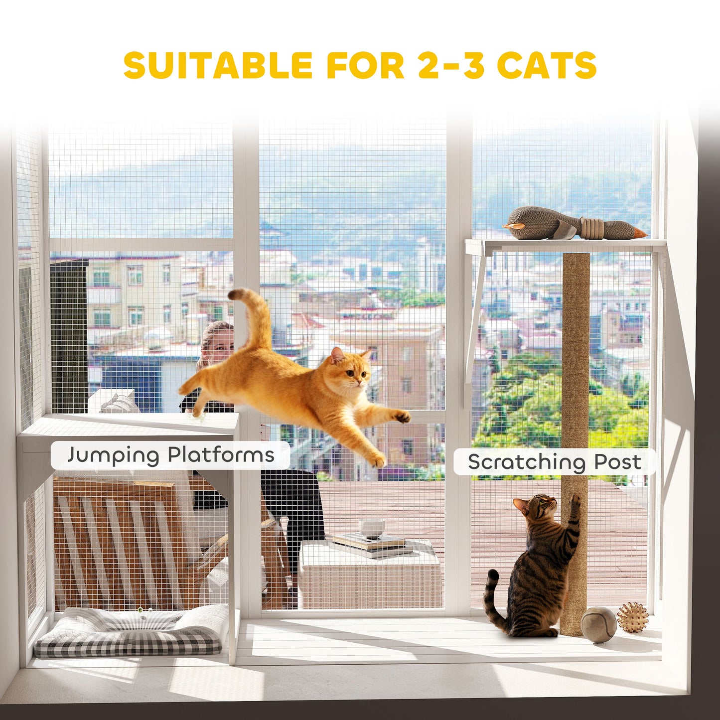 Enclos extérieur pour chats 3 niveaux avec plateformes