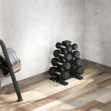 Ensemble d'haltères hexagonaux avec support 45 kg