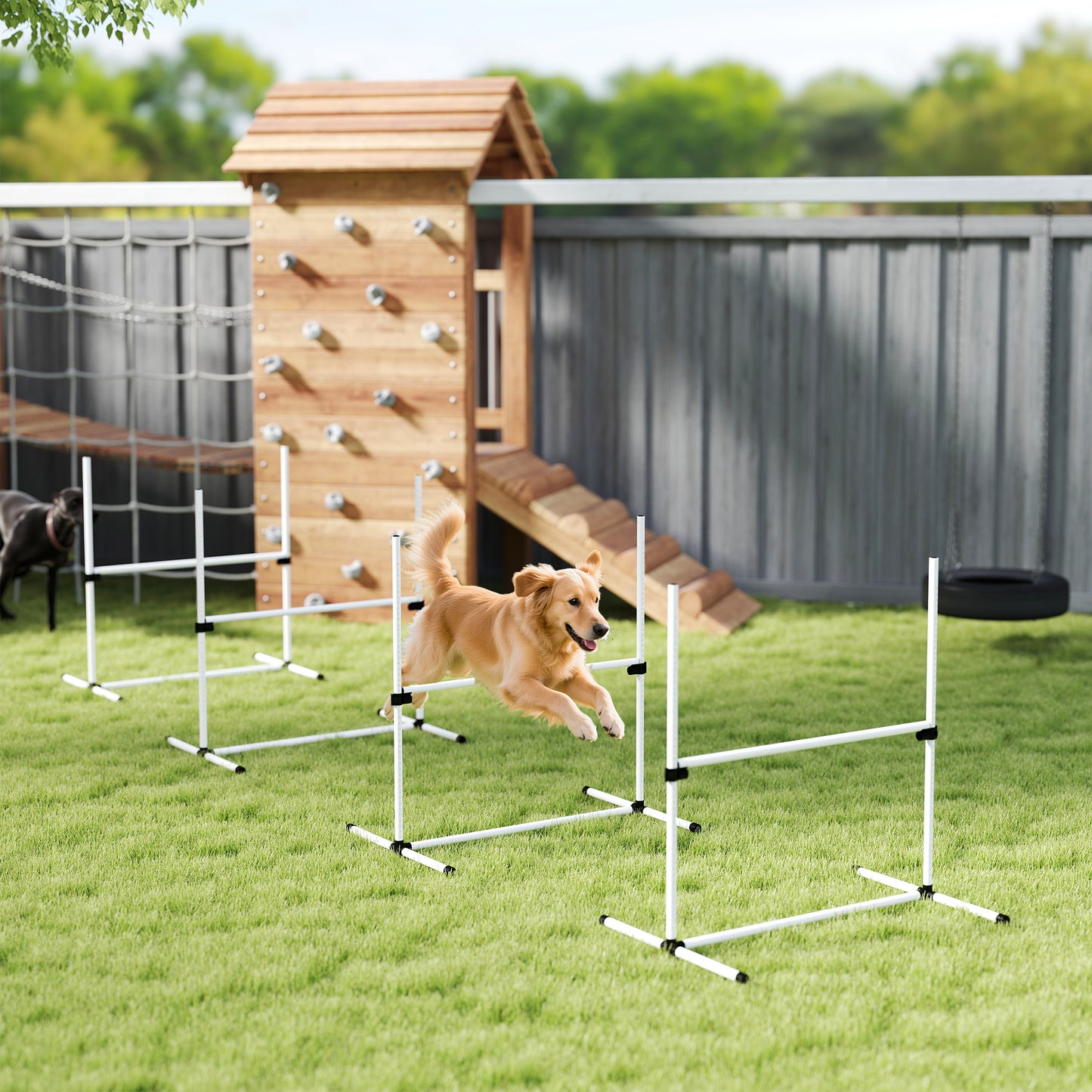 Ensemble de 4 haies d'agilité réglables pour chien