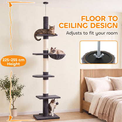 Arbre à chat du sol au plafond