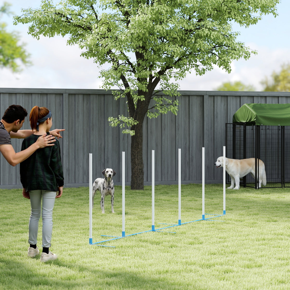 Ensemble obstacles d'agilité pour chiens avec piquets