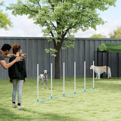 Ensemble obstacles d'agilité pour chiens avec piquets