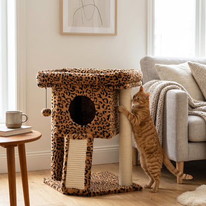Tour à chat compacte avec perchoir et maison