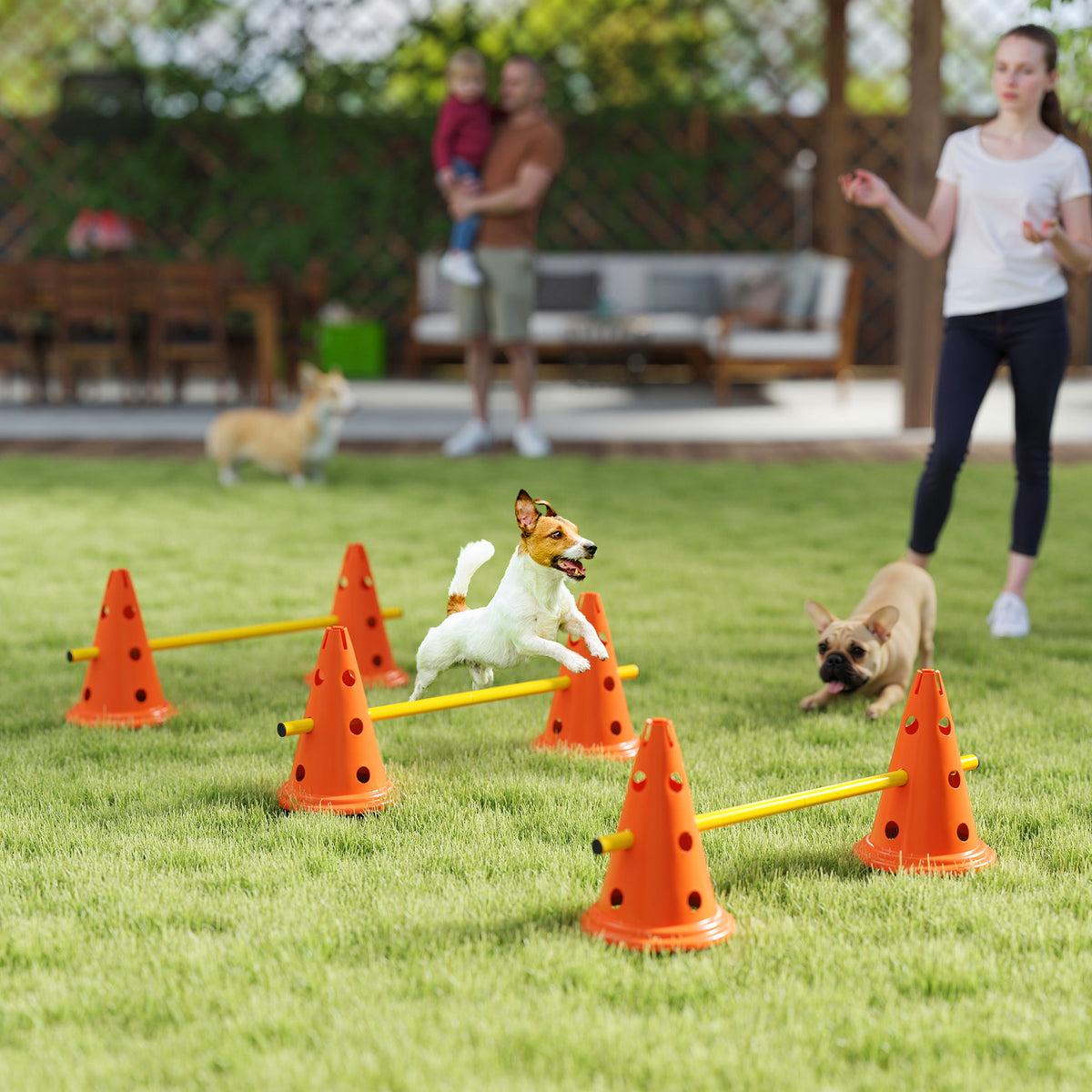 Ensemble d'agilité pour chien avec cônes et perches ajustables