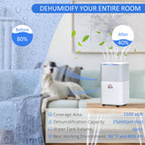 Déshumidificateur portatif 3 modes minuterie 24h