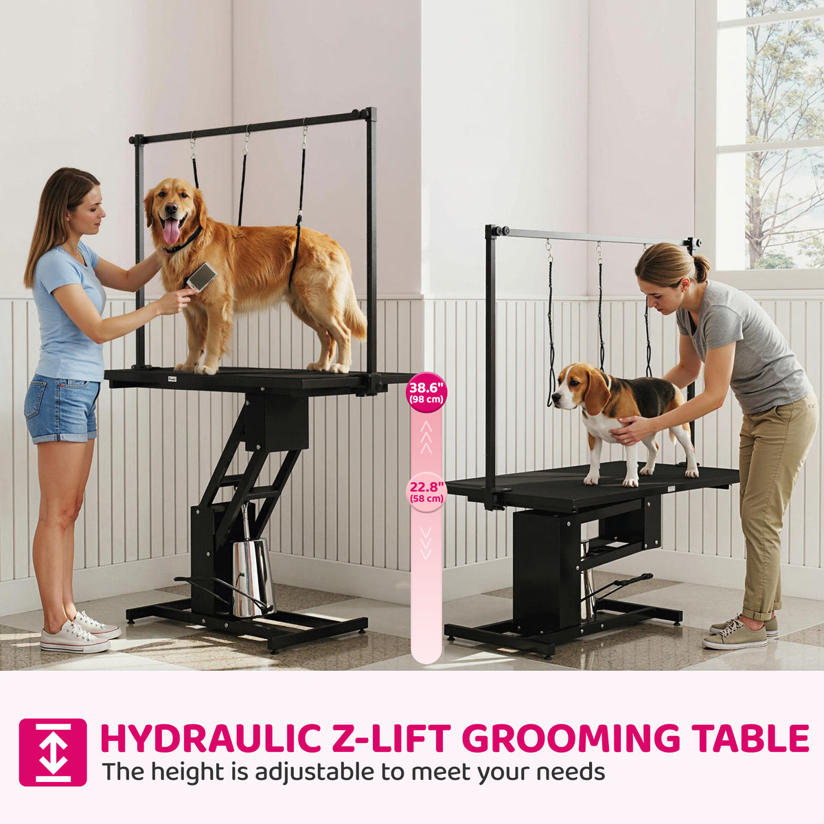 Table de toilettage pour chien hydraulique réglable