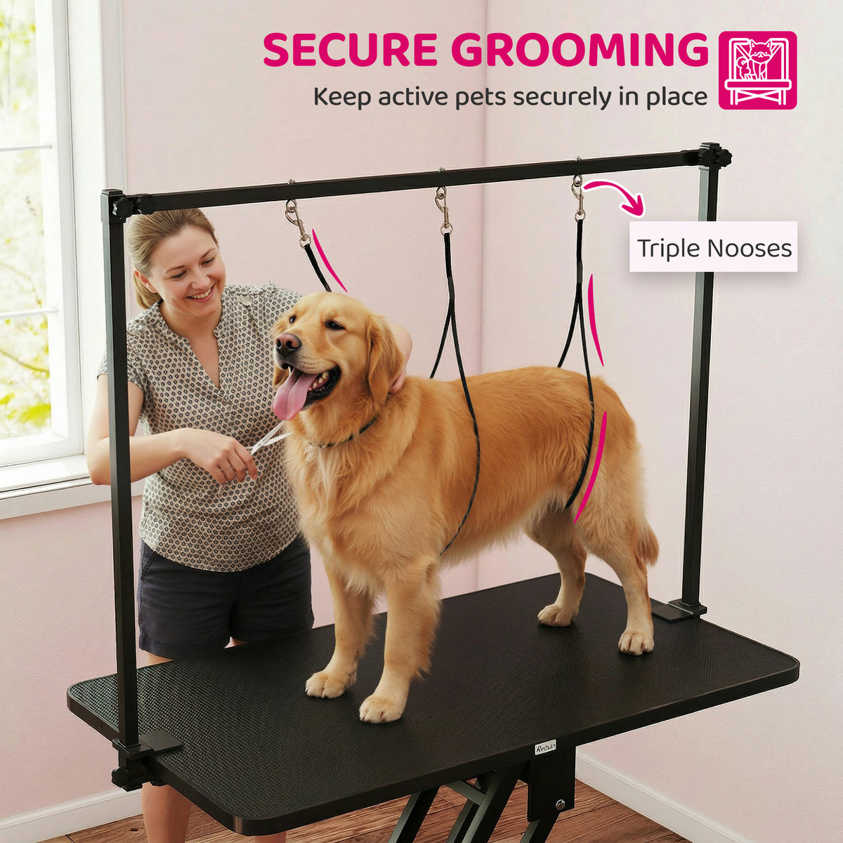 Table de toilettage pour chien hydraulique réglable