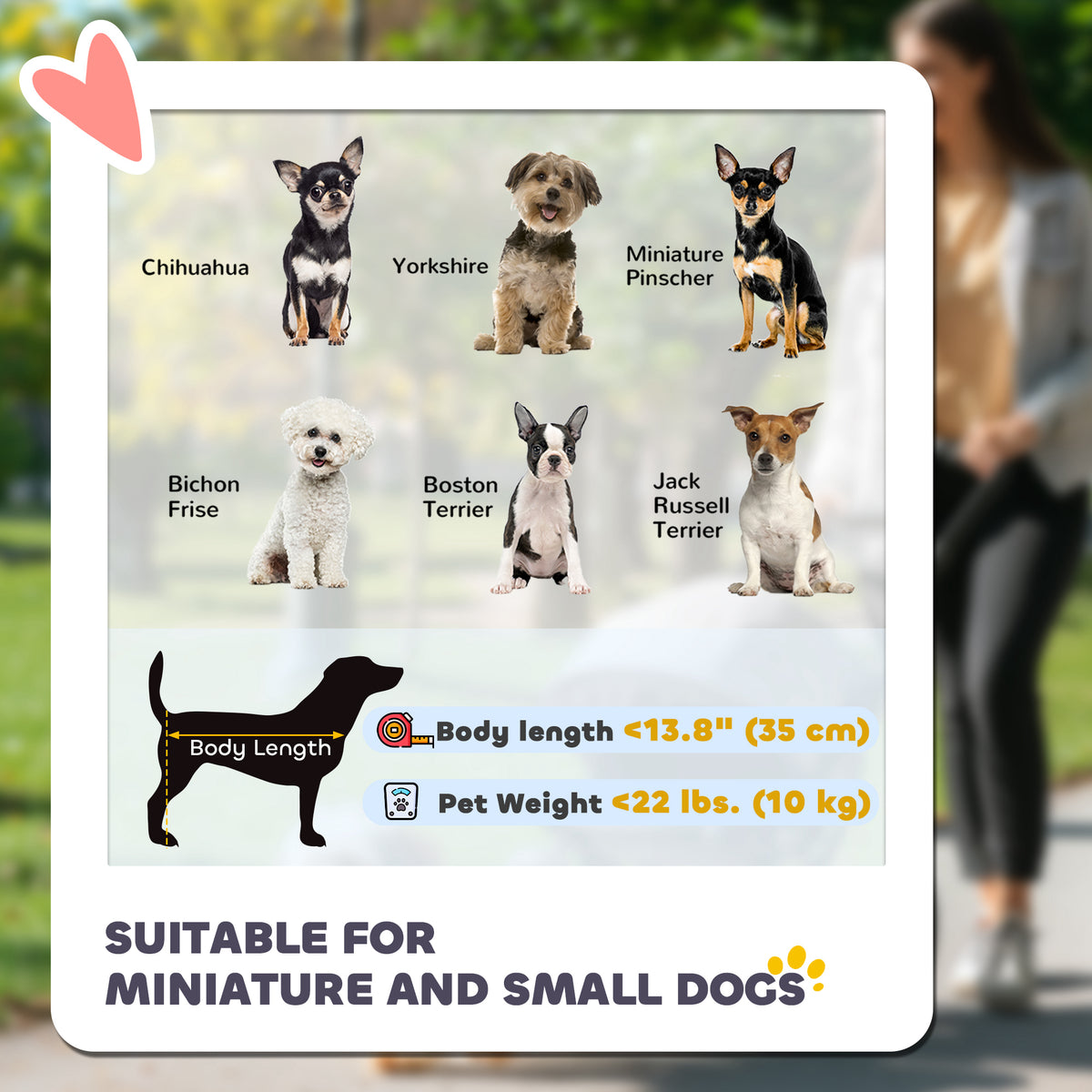 Poussette pour animaux pliable avec freins — grise