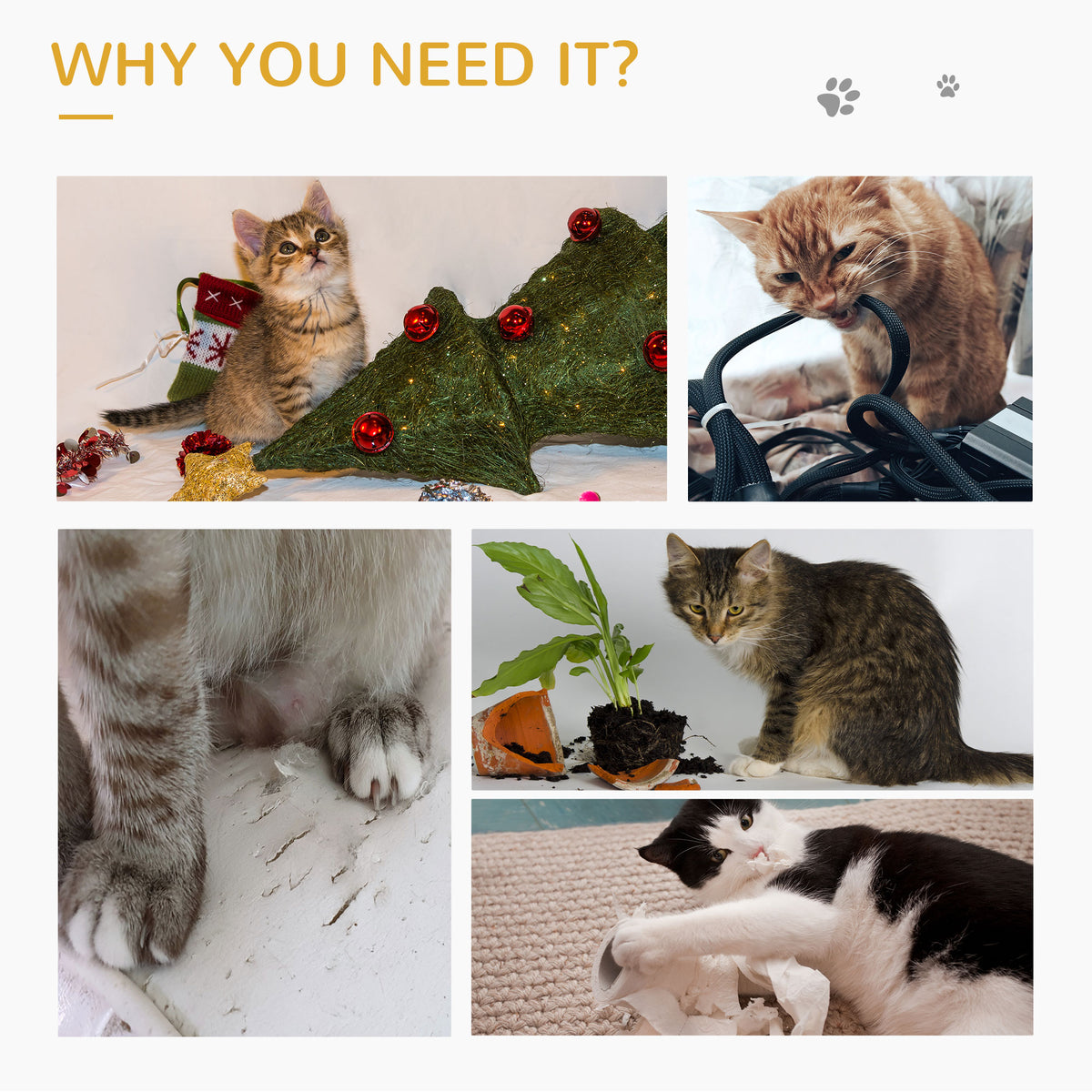Tour à chat compact avec perchoir et maison