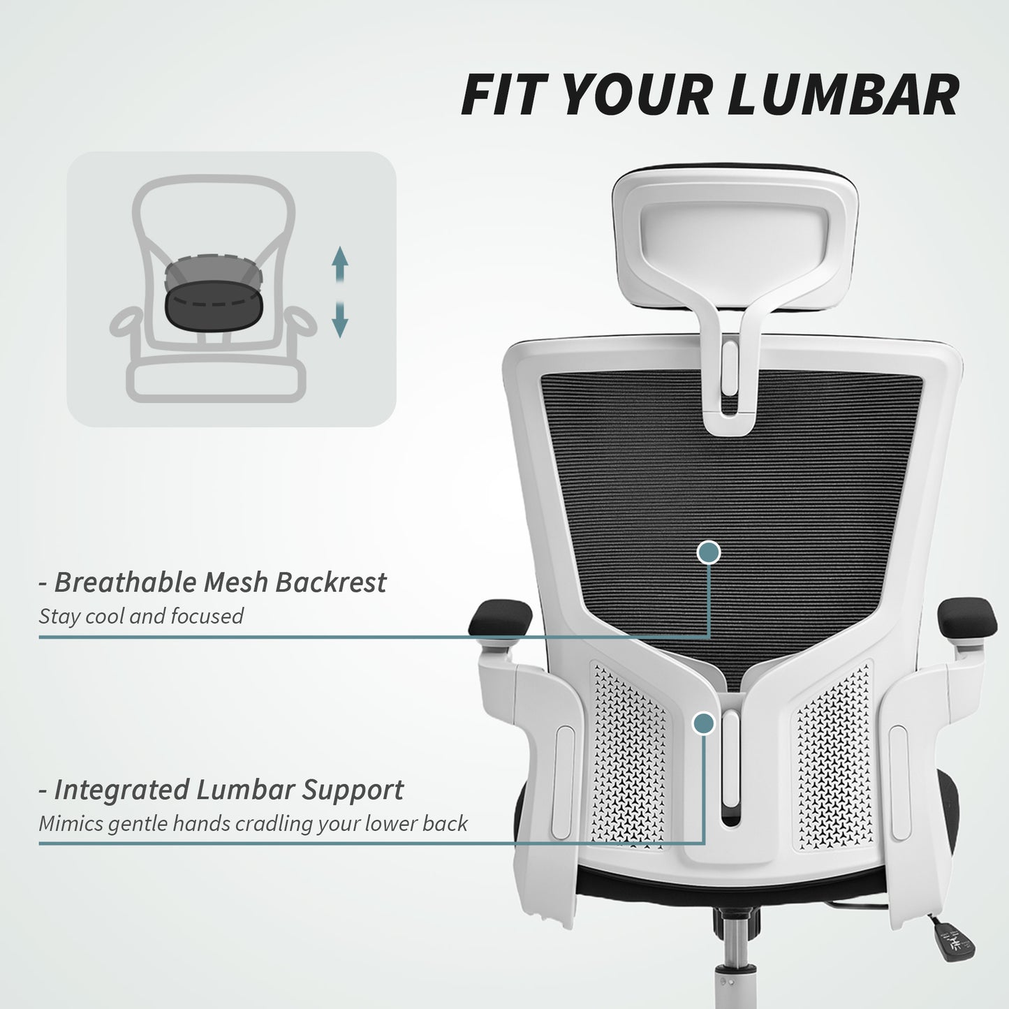 Chaise de bureau ergonomique avec support lombaire réglable