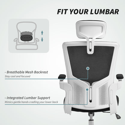 Chaise de bureau ergonomique avec support lombaire réglable
