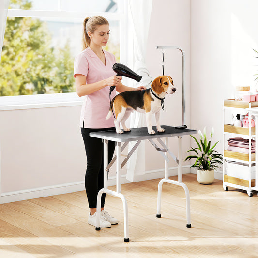Table de toilettage pliable pour animaux